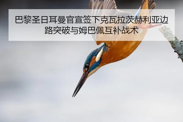 ba-li-sheng-ri-er-man-guan-xuan-qian-xia-ke-wa-la-ci-he-li-ya-bian-lu-tu-po-yu-mu-ba-pei-hu-bu-zhan-shu-2-402.jpg